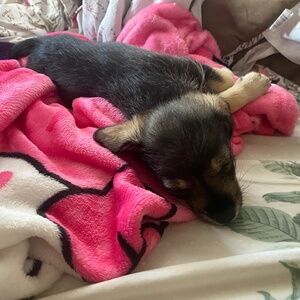 Meet your Posher, Kimberli